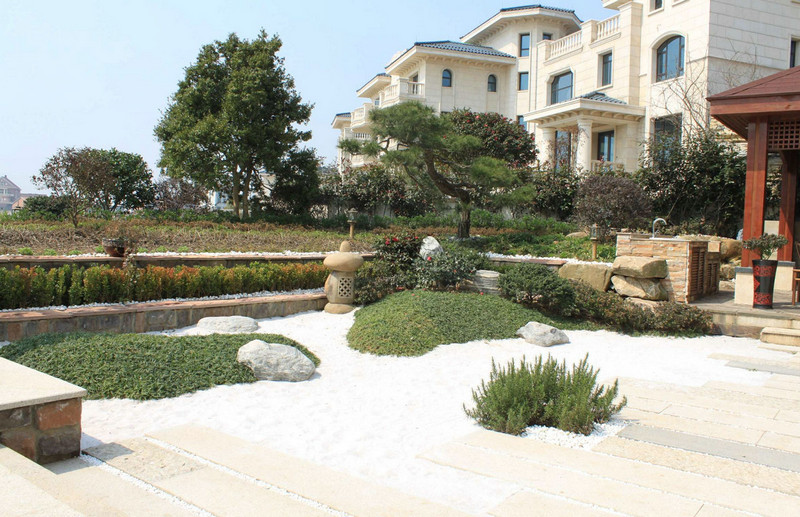 園林養(yǎng)護(hù) (1)