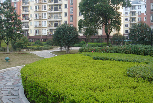 綠化園林養(yǎng)護(hù)的工作內(nèi)容有哪些？