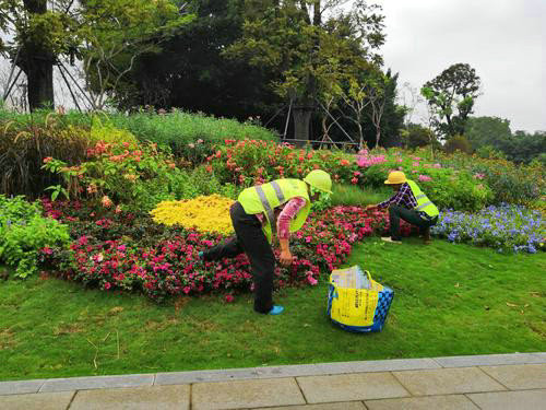 園林綠化的植物八大養(yǎng)護(hù)要點(diǎn)