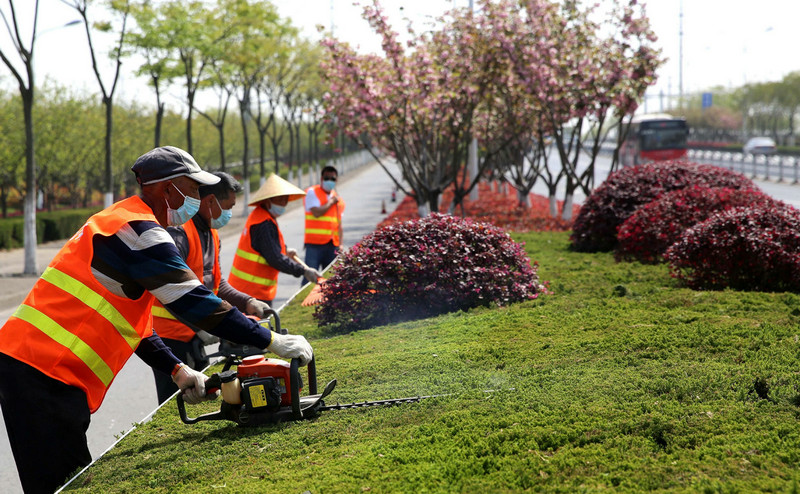 提高園林綠化養(yǎng)護(hù)管理水平的主要措施？